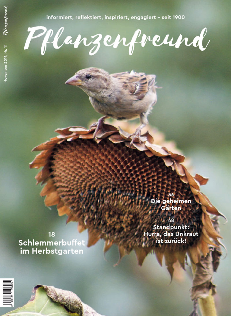 Zeitschriften Haus Und Garten abozeitschrift.ch